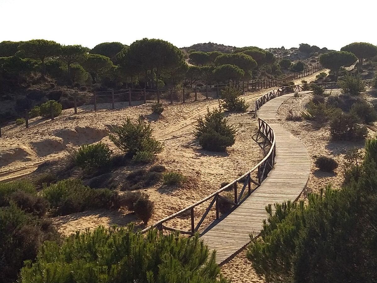 Vistas Encantadoras Matalascañas Dış mekan fotoğraf